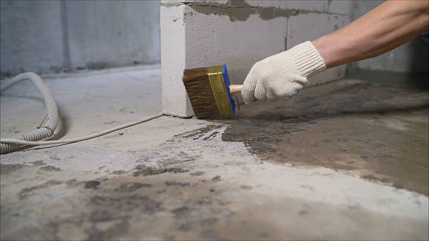 Top rated local Crawl Space Encapsulation specialists in Stevensburg, VA